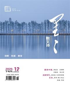 星星·散文诗2020年12期