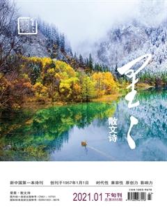星星·散文诗2021年1期