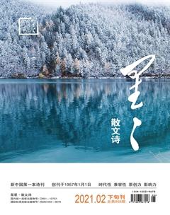 星星·散文诗2021年2期