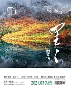 星星·散文诗2021年3期