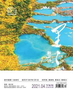 星星·散文诗2021年4期