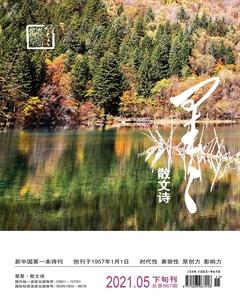 星星·散文诗2021年5期
