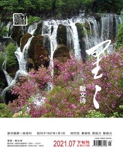 星星·散文诗2021年7期