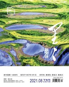 星星·散文诗2021年8期