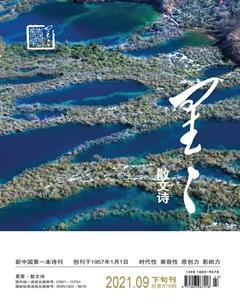 星星·散文诗2021年9期