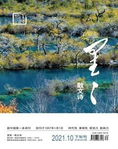 星星·散文诗2021年10期