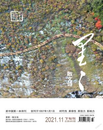 星星·散文诗2021年11期