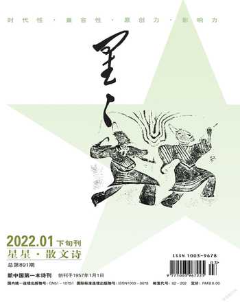 星星·散文诗2022年1期