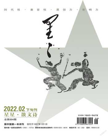 星星·散文诗2022年2期