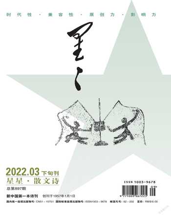 星星·散文诗2022年3期