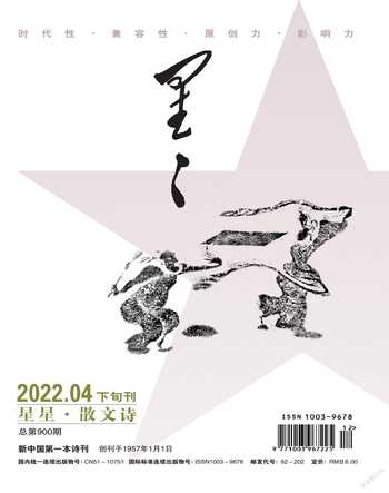 星星·散文诗2022年4期