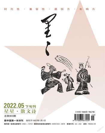 星星·散文诗2022年5期