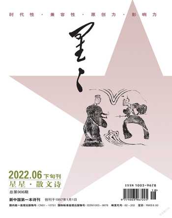 星星·散文诗2022年6期