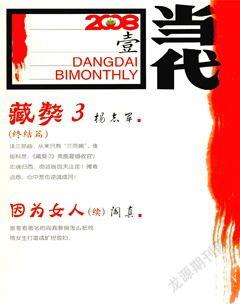 当代2008年1期