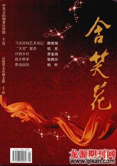 含笑花2009年1期
