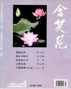 含笑花2010年4期