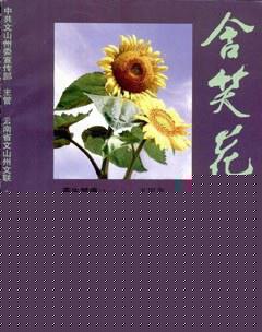 含笑花2010年5期