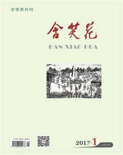 含笑花2017年1期