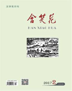含笑花2017年2期
