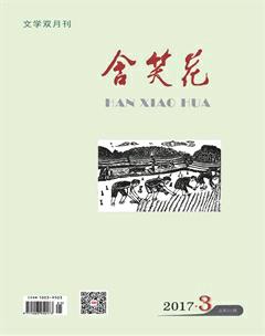 含笑花2017年3期