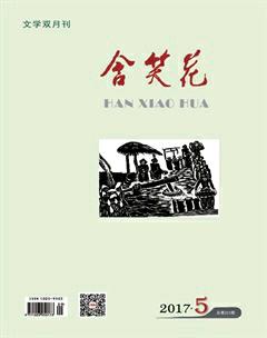 含笑花2017年5期