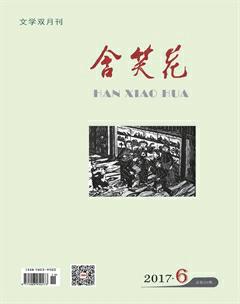 含笑花2017年6期