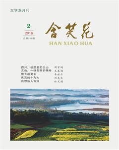含笑花2018年2期