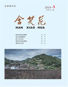 含笑花2019年1期