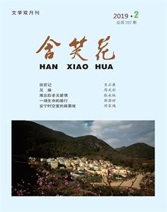 含笑花2019年2期