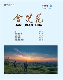 含笑花2019年3期