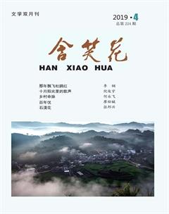含笑花2019年4期