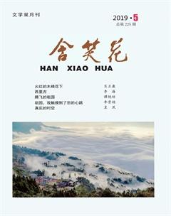 含笑花2019年5期