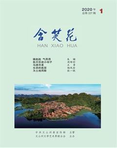 含笑花2020年1期