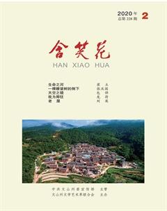 含笑花2020年2期