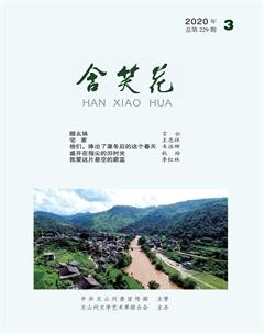 含笑花2020年3期