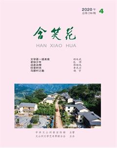 含笑花2020年4期