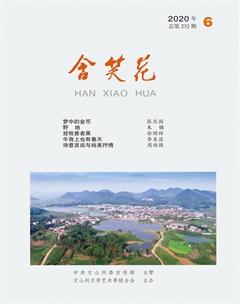 含笑花2020年6期