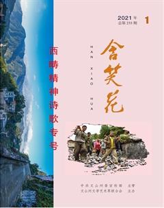 含笑花2021年1期