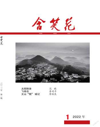 含笑花2022年1期