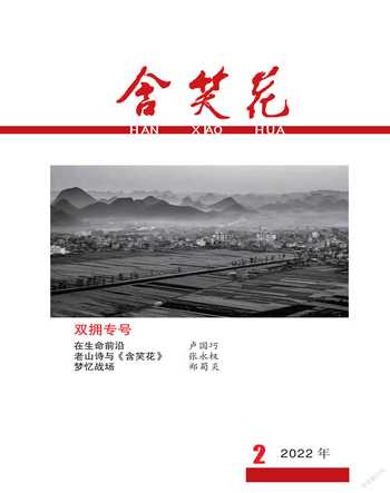 含笑花2022年2期
