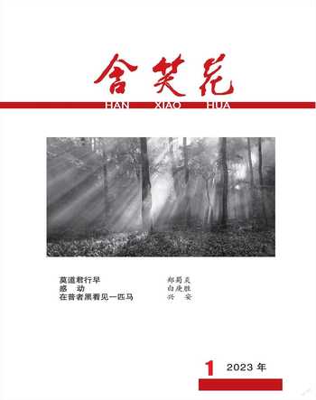 含笑花2023年1期