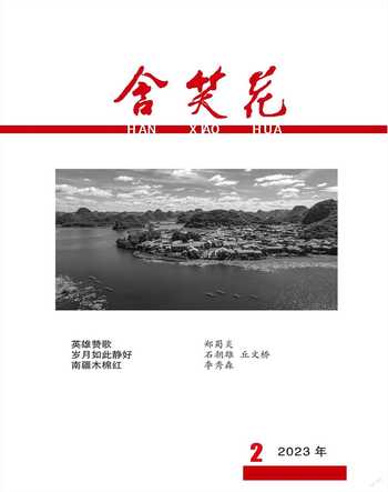 含笑花2023年2期