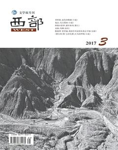 西部2017年3期