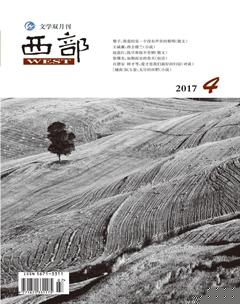 西部2017年4期