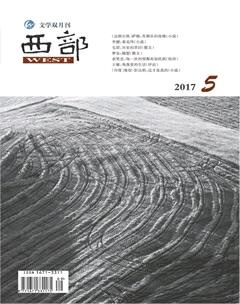 西部2017年5期
