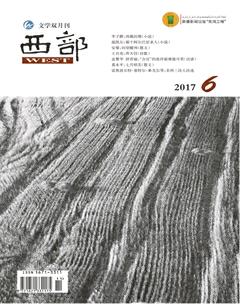 西部2017年6期