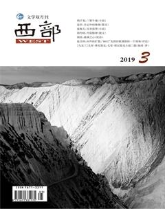 西部2019年3期