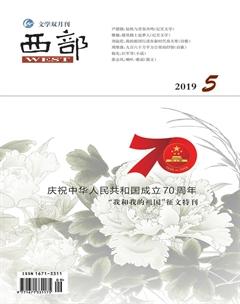 西部2019年5期