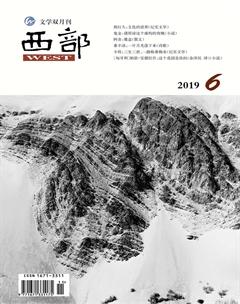 西部2019年6期