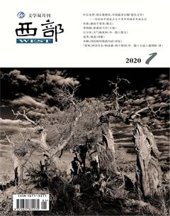 西部2020年1期